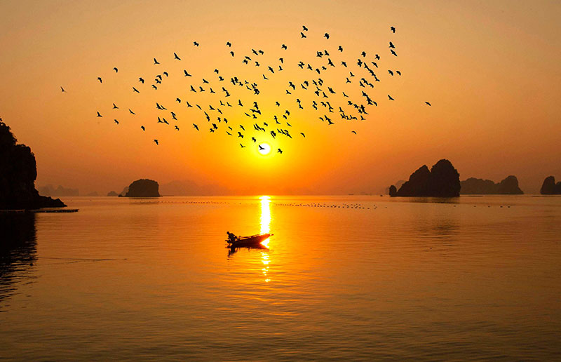 Why International Travelers Prefer Cruises Over Fast Tours in Ha Long Bay
